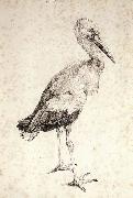 The Stork Albrecht Durer